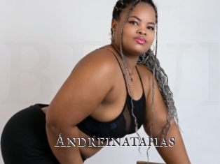 Andreinatapias