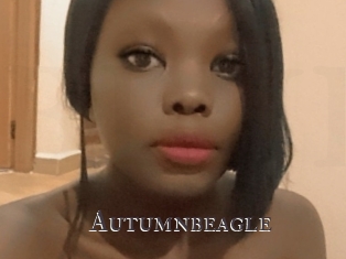 Autumnbeagle