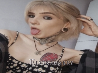 Elvinahakey