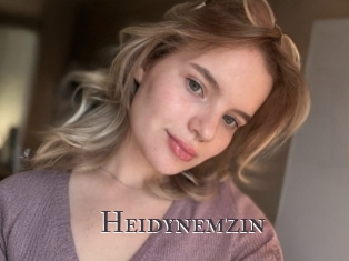 Heidynemzin