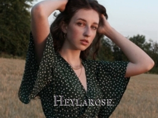 Heylarose