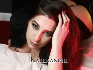 Karinanoir