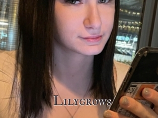 Lilygrows