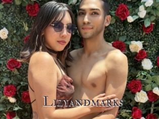 Lizyandmarks