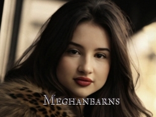 Meghanbarns