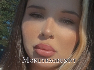 Moneybagbunny
