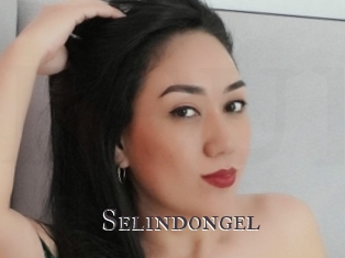 Selindongel