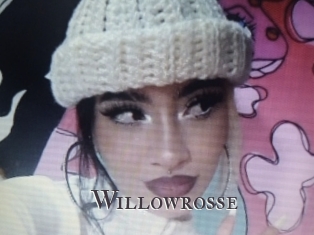willowrosse Beurette Blog
